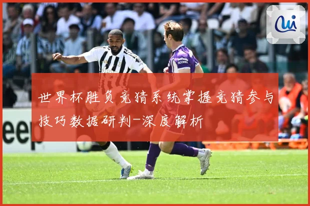 世界杯胜负竞猜系统掌握竞猜参与技巧数据研判-深度解析