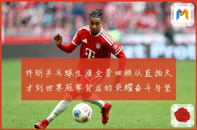 许昕乒乓球生涯全景回顾从直拍天才到世界冠军背后的荣耀奋斗与坚持之路-深度解析