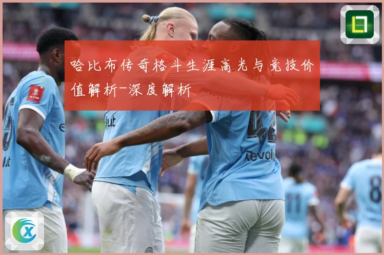 哈比布传奇格斗生涯高光与竞技价值解析-深度解析