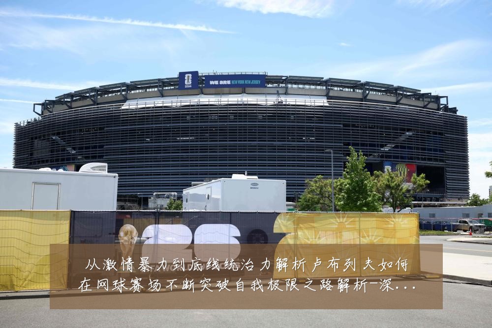 从激情暴力到底线统治力解析卢布列夫如何在网球赛场不断突破自我极限之路解析-深度解析